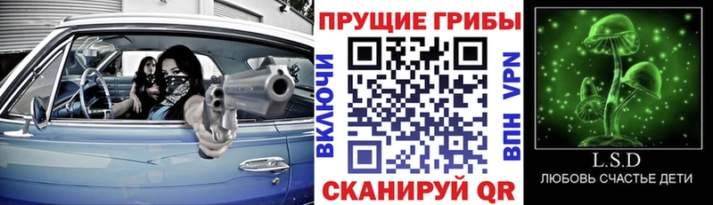 Галлюциногенные грибы мухоморы Новоалтайск